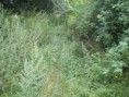 /album/fotogalerie/cesta-dolni-lesik-jpg/